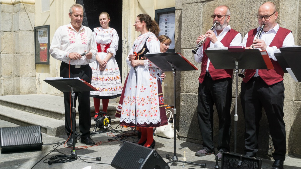 Sdbhmen zu Gast in Linz